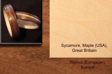 Sycamore and Walnut 1.jpg
