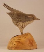 wren1_407x480.jpg