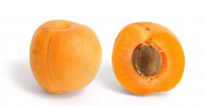 Apricot_and_cross_section.resized.jpg