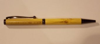 Berberis pen_640x282.jpg