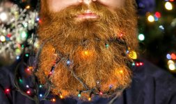 beard-lights-attached-to-a-bushy-ginger-facial-hair.jpg
