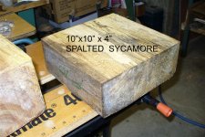 Spalt sycamore (Medium).JPG