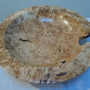 Horse Chestnut burr bowl