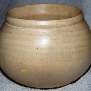 birch or beech plant pot