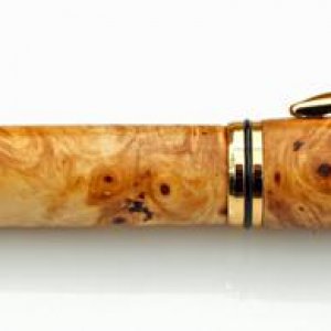 Horse Chestnut Rollerball Pen