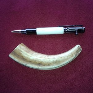 Wild boar tusk bullet pen