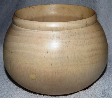 birch or beech plant pot