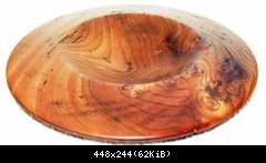 Elm burr bowl